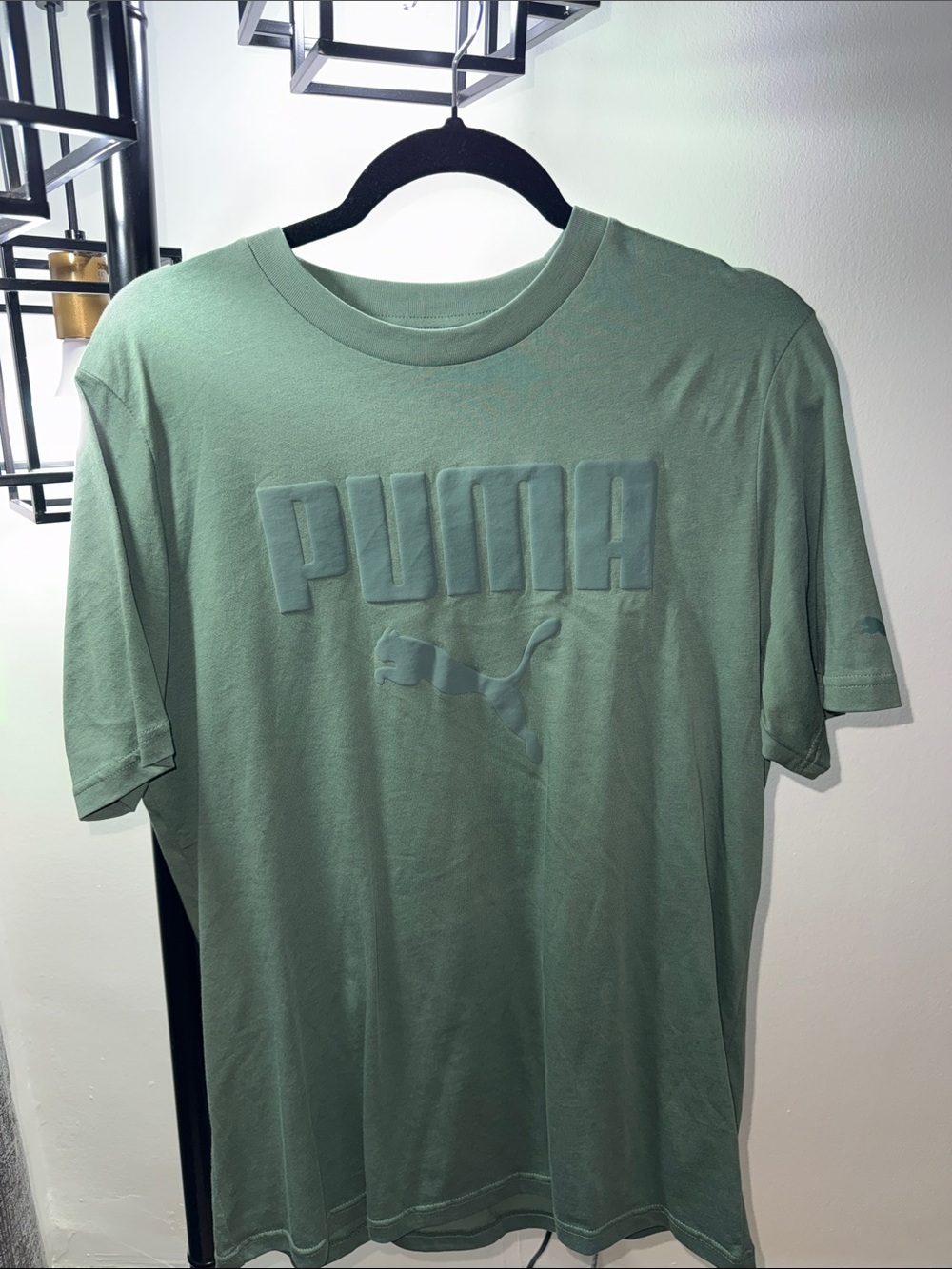 Puma Men's Short-Sleeve Crewneck Tee in Sage Green